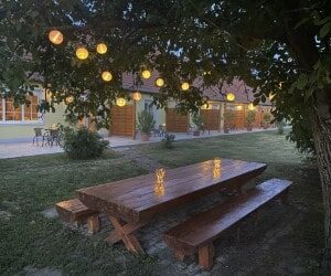 thumbnail_IMG_0169-min